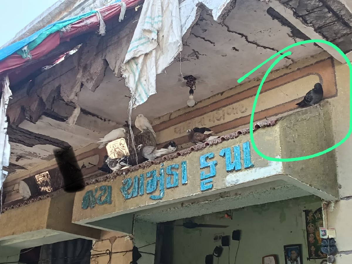 Post Image 1