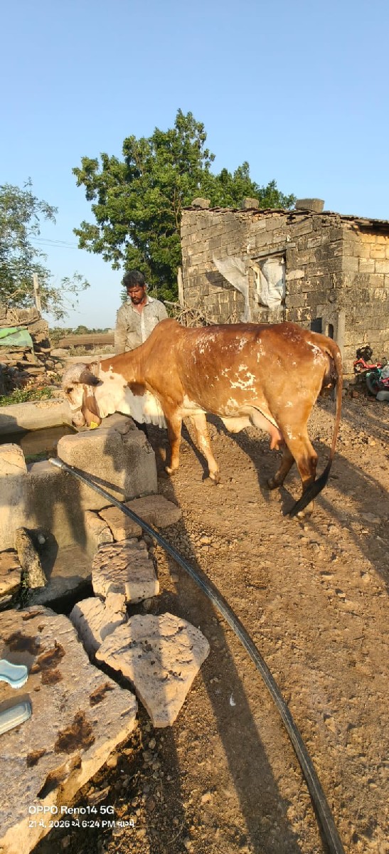 Post Image 2