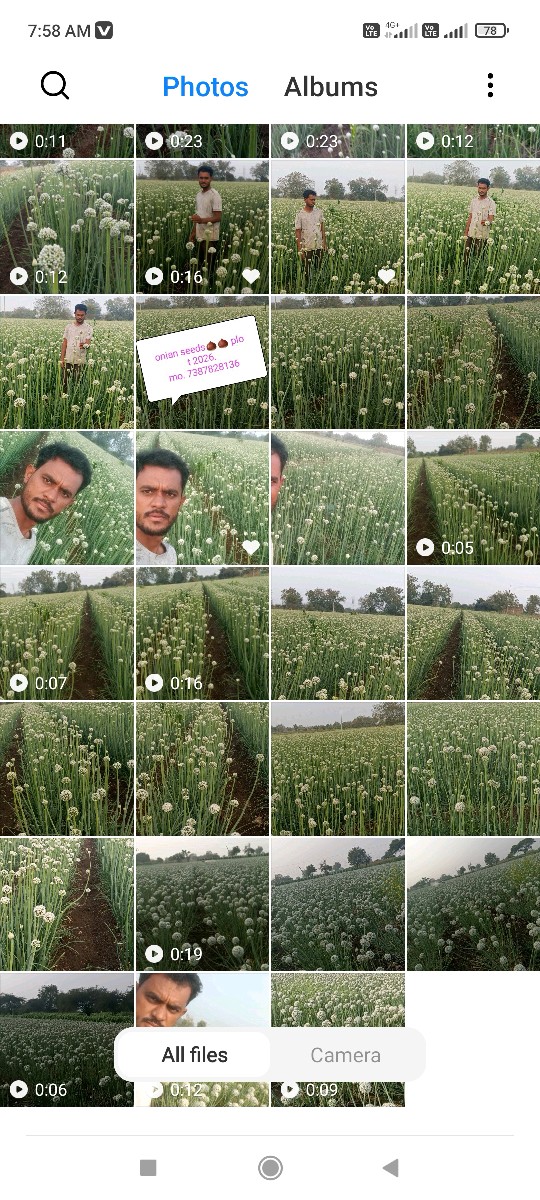 Post Image 4