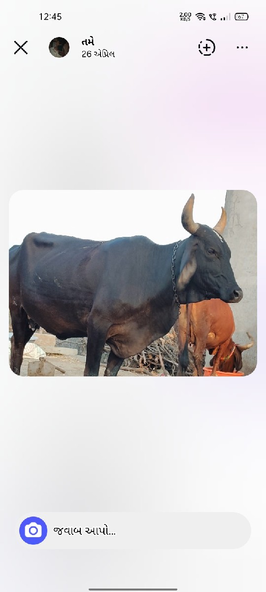 Post Image 1