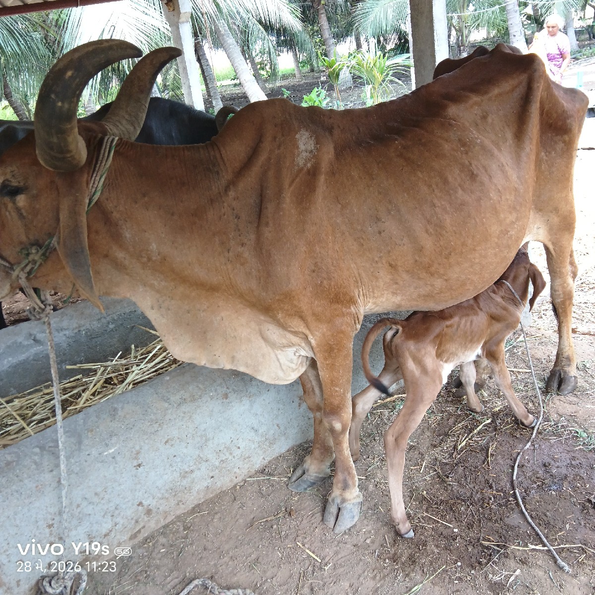 Post Image 1