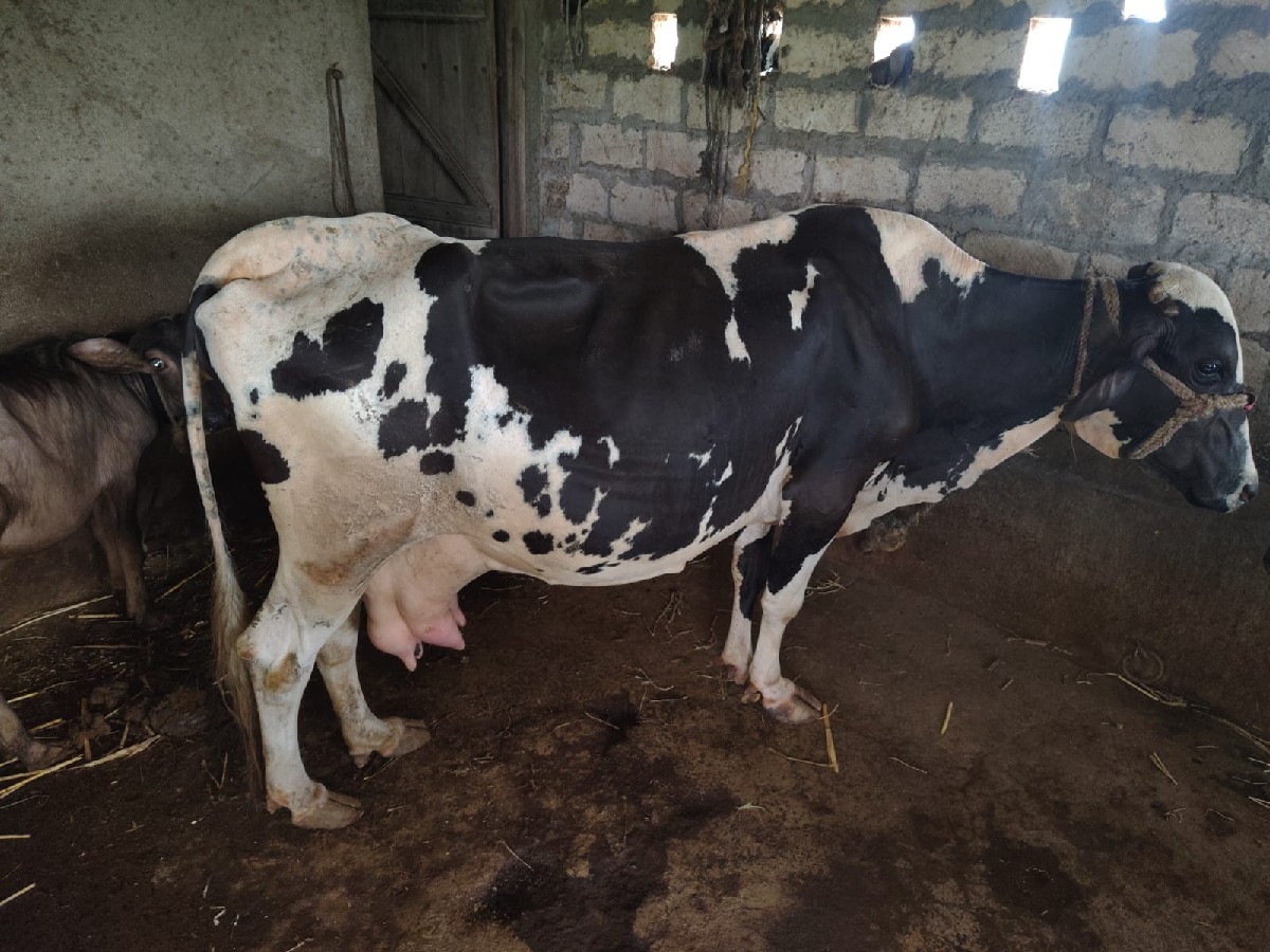 Post Image 2