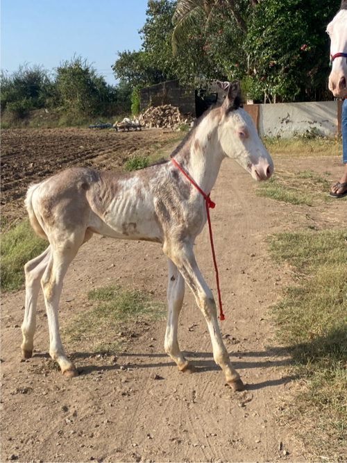 Post Image 3