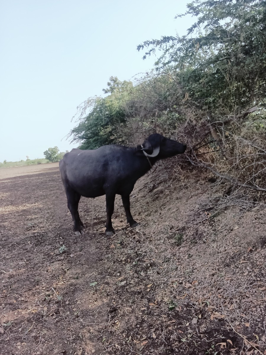 Post Image 6