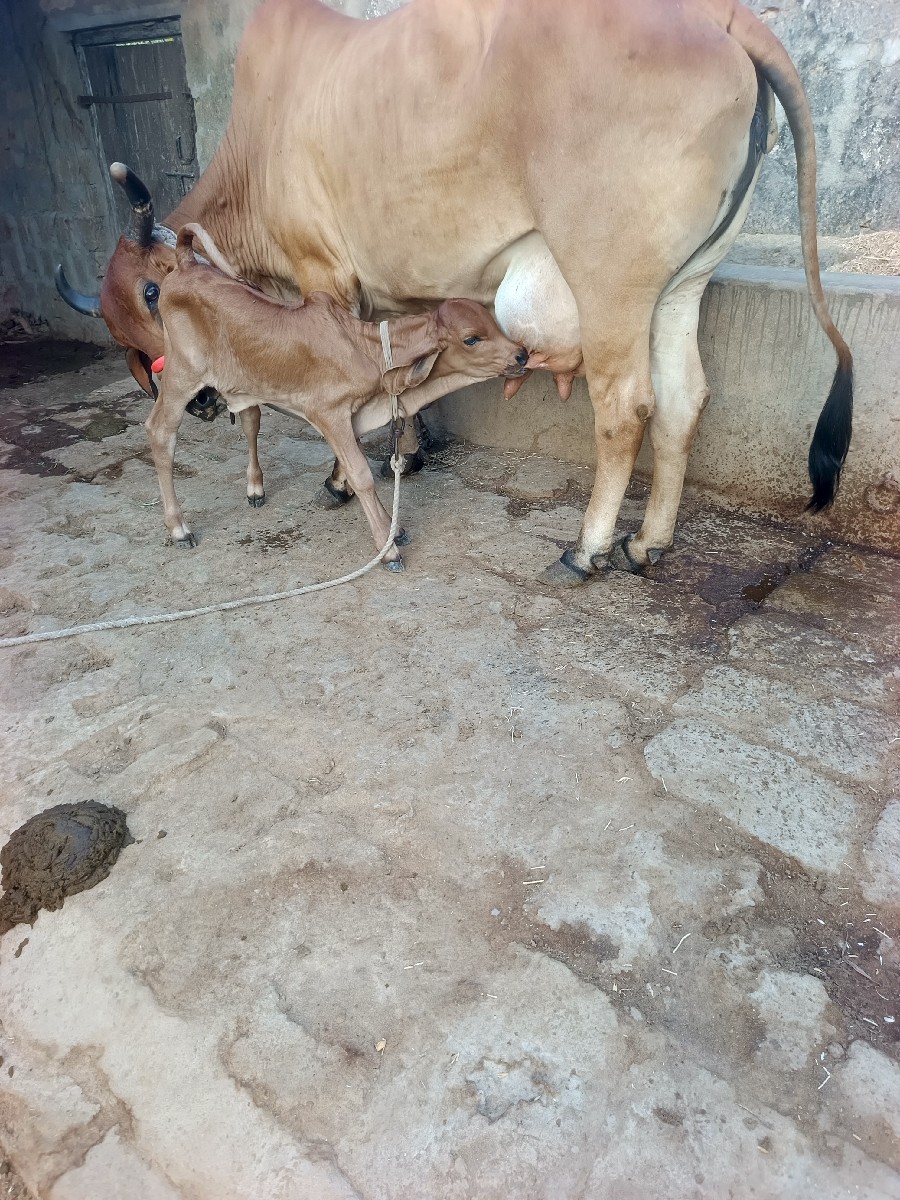 Post Image 4
