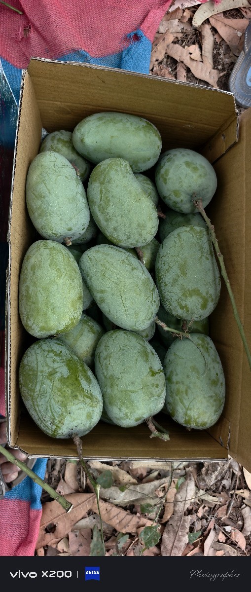 Post Image 2