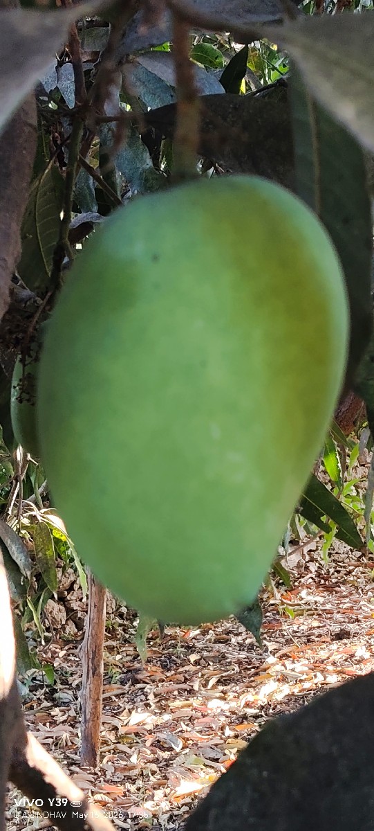 Post Image 3