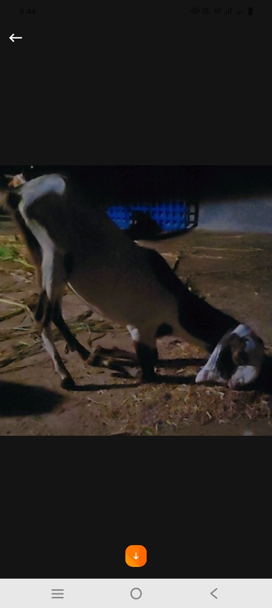 Post Image 2