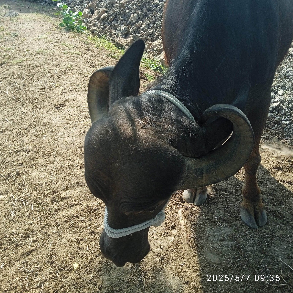 Post Image 2