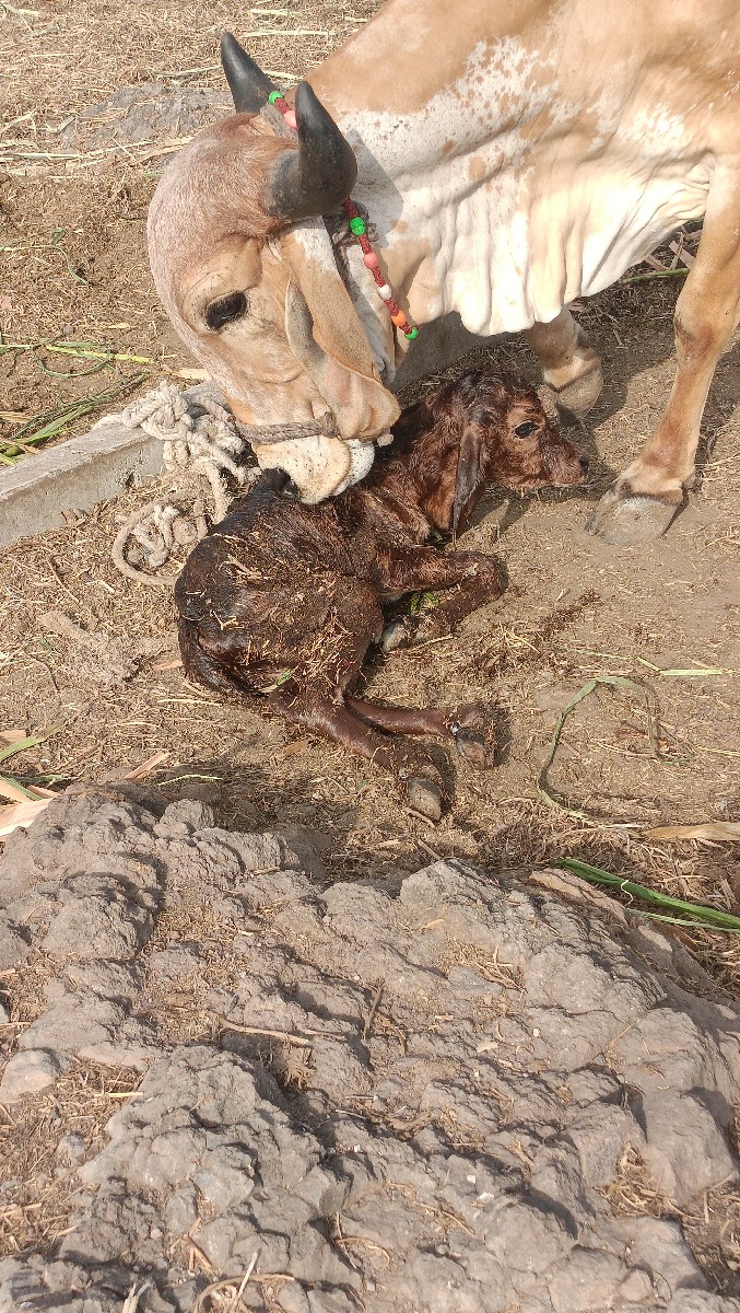 Post Image 5