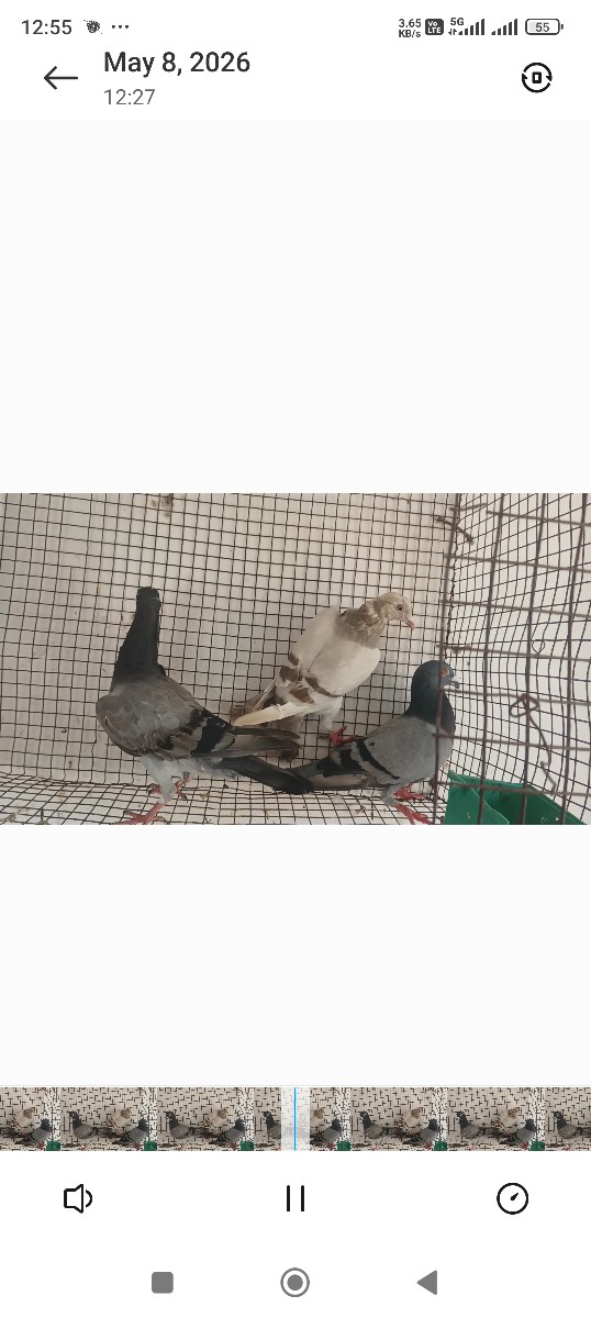 Post Image 3