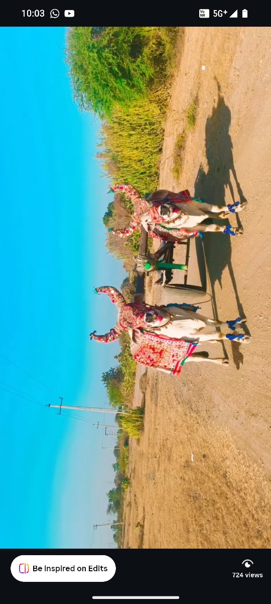 Post Image 2