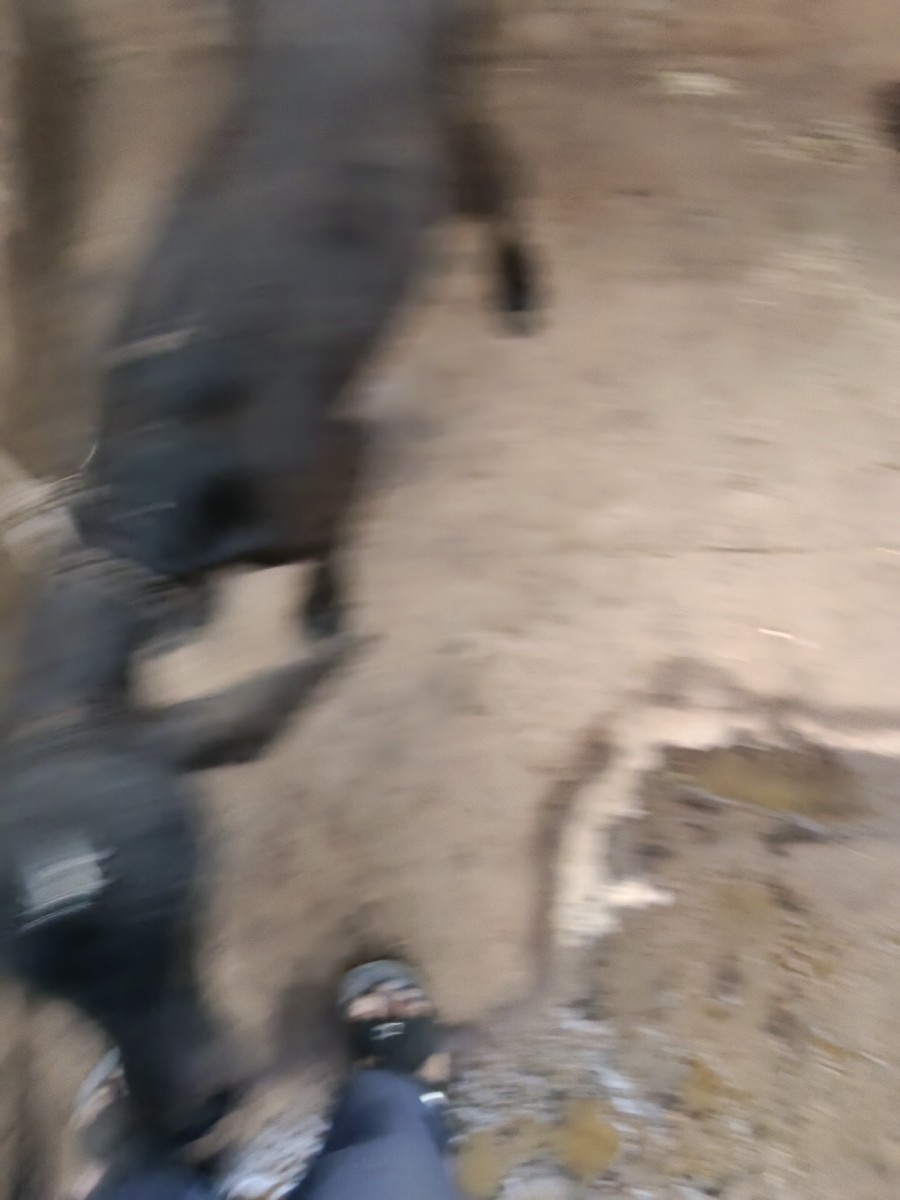 Post Image 3