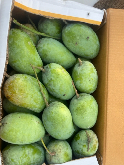 Post Image 3