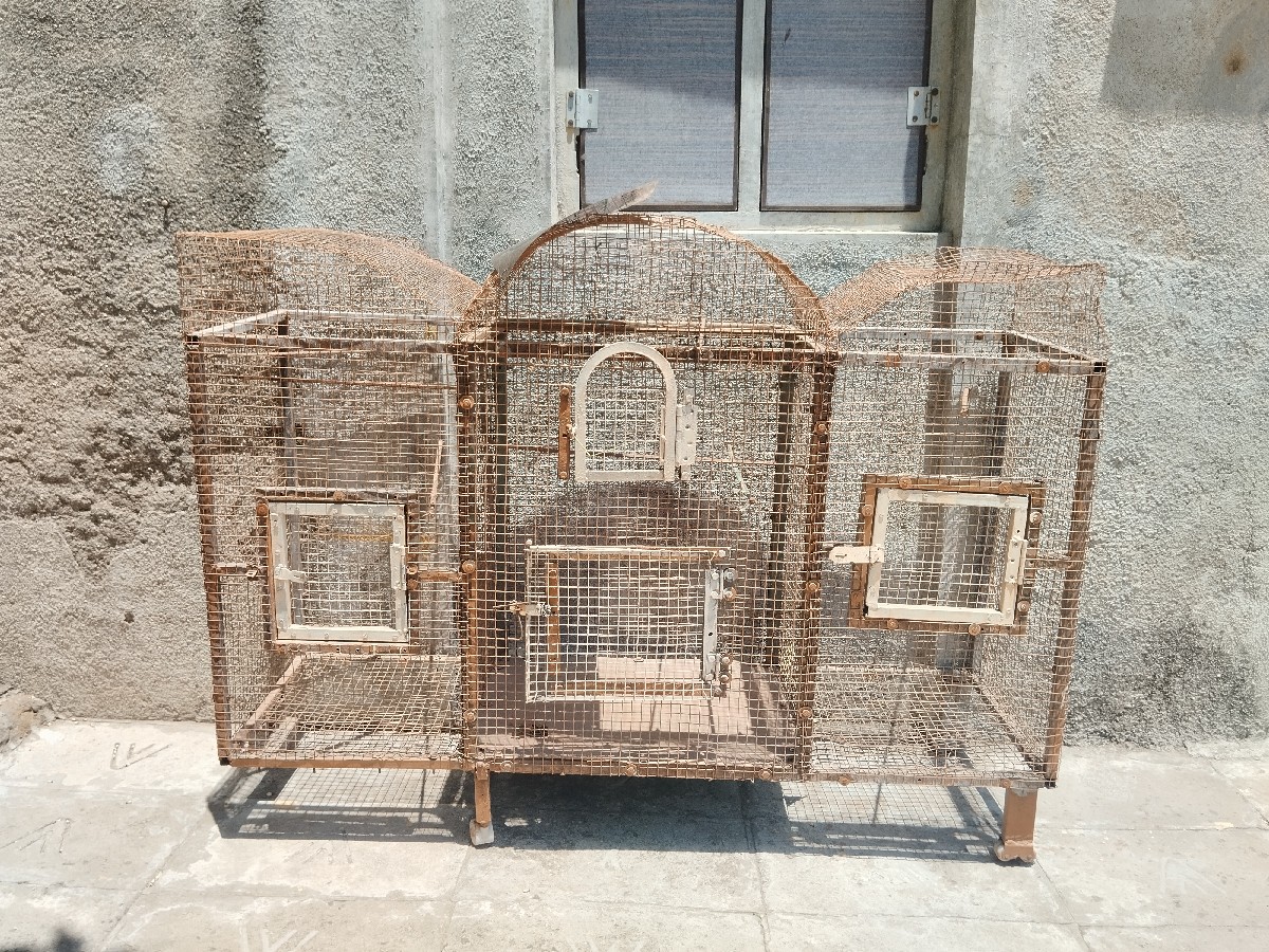 Post Image 3