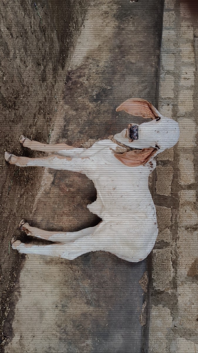 Post Image 2