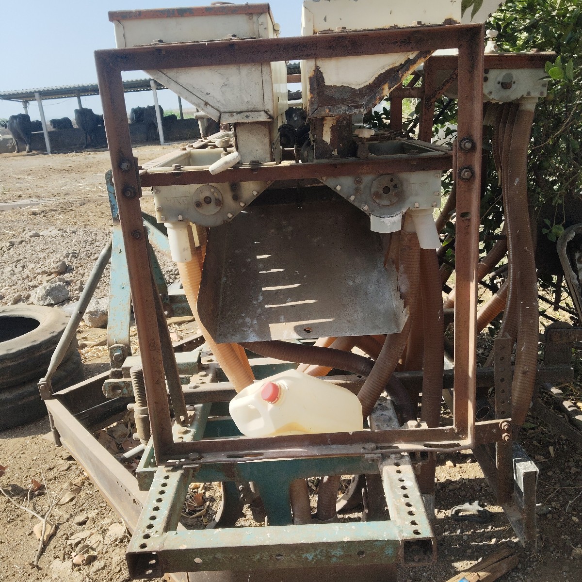 Post Image 3