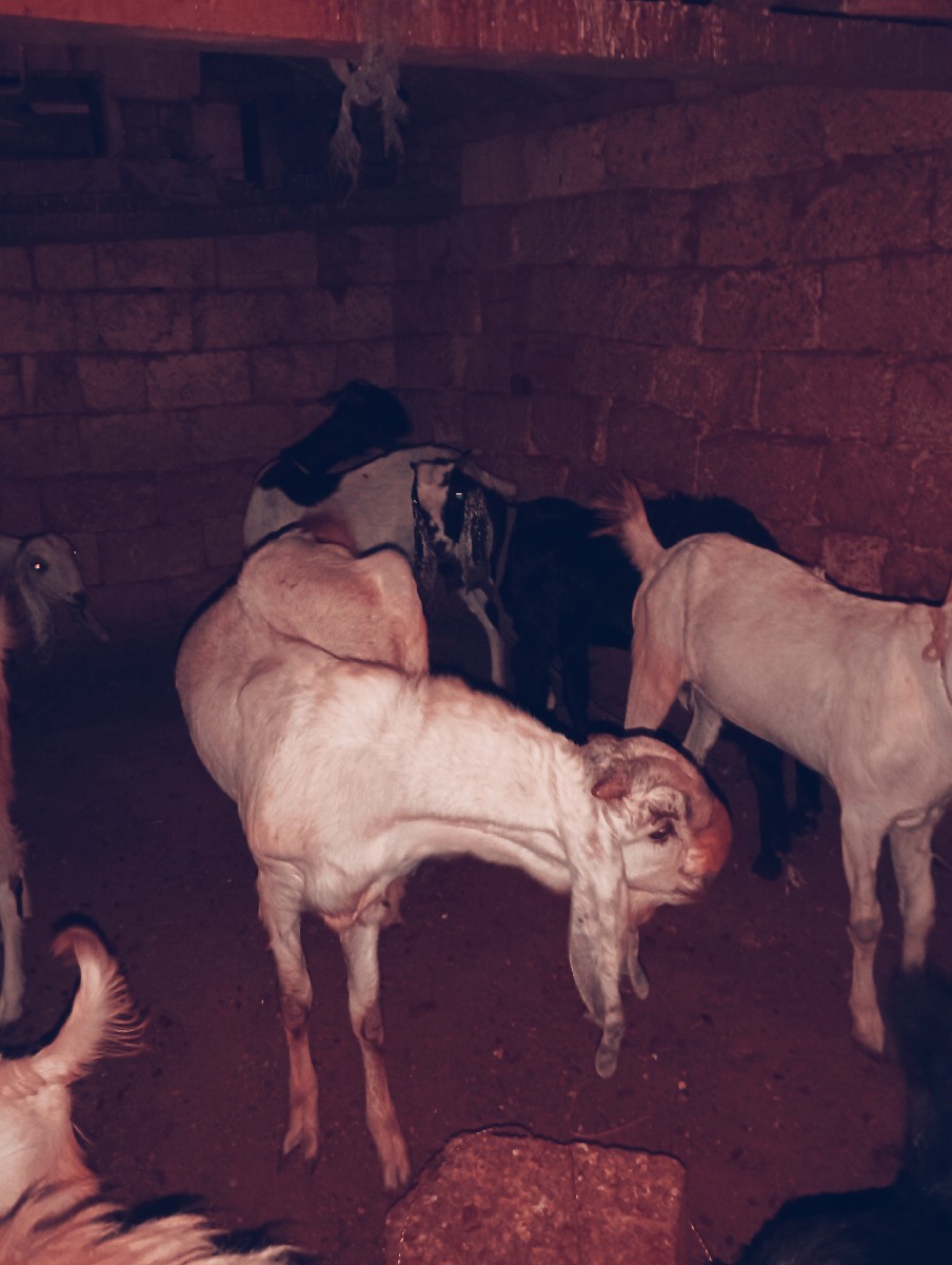 Post Image 3