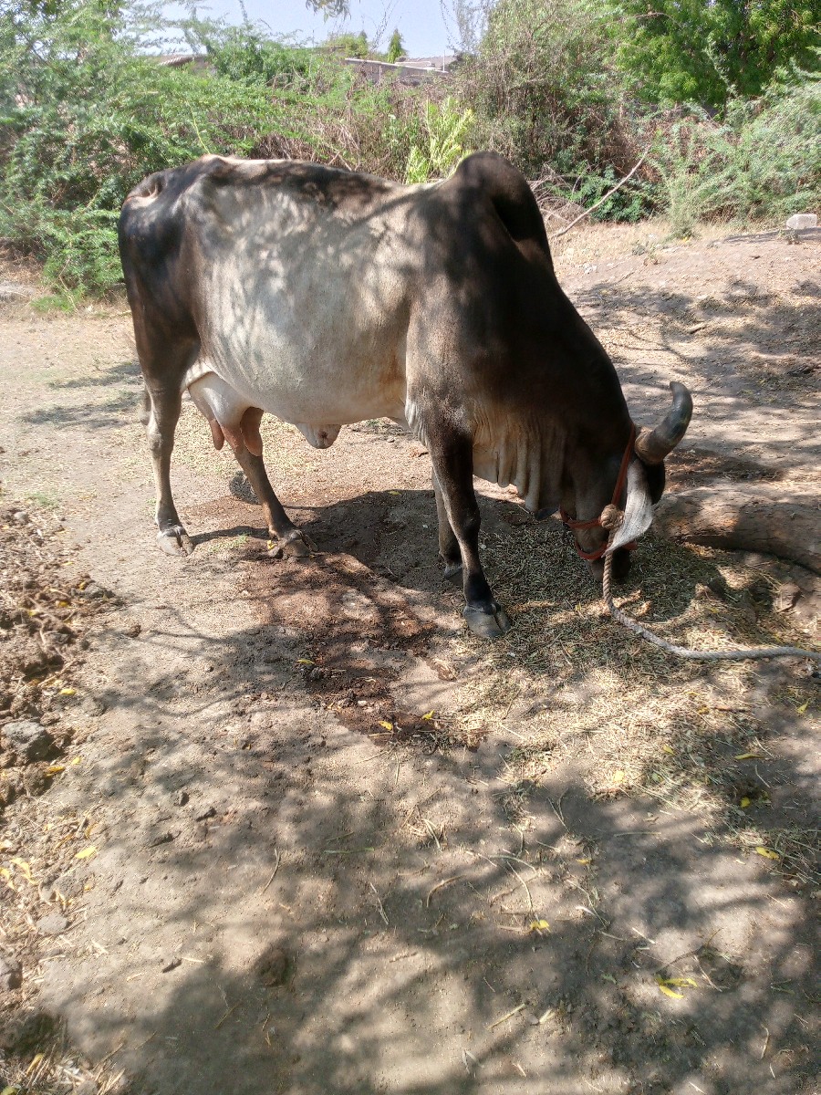 Post Image 3