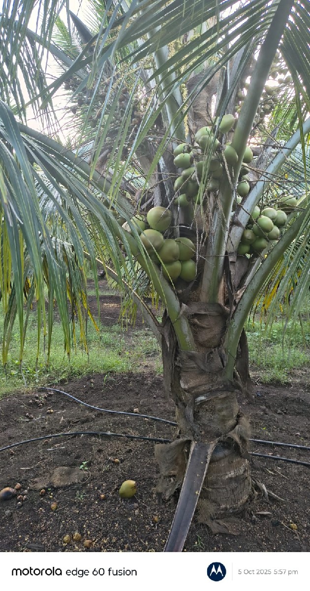 Post Image 4