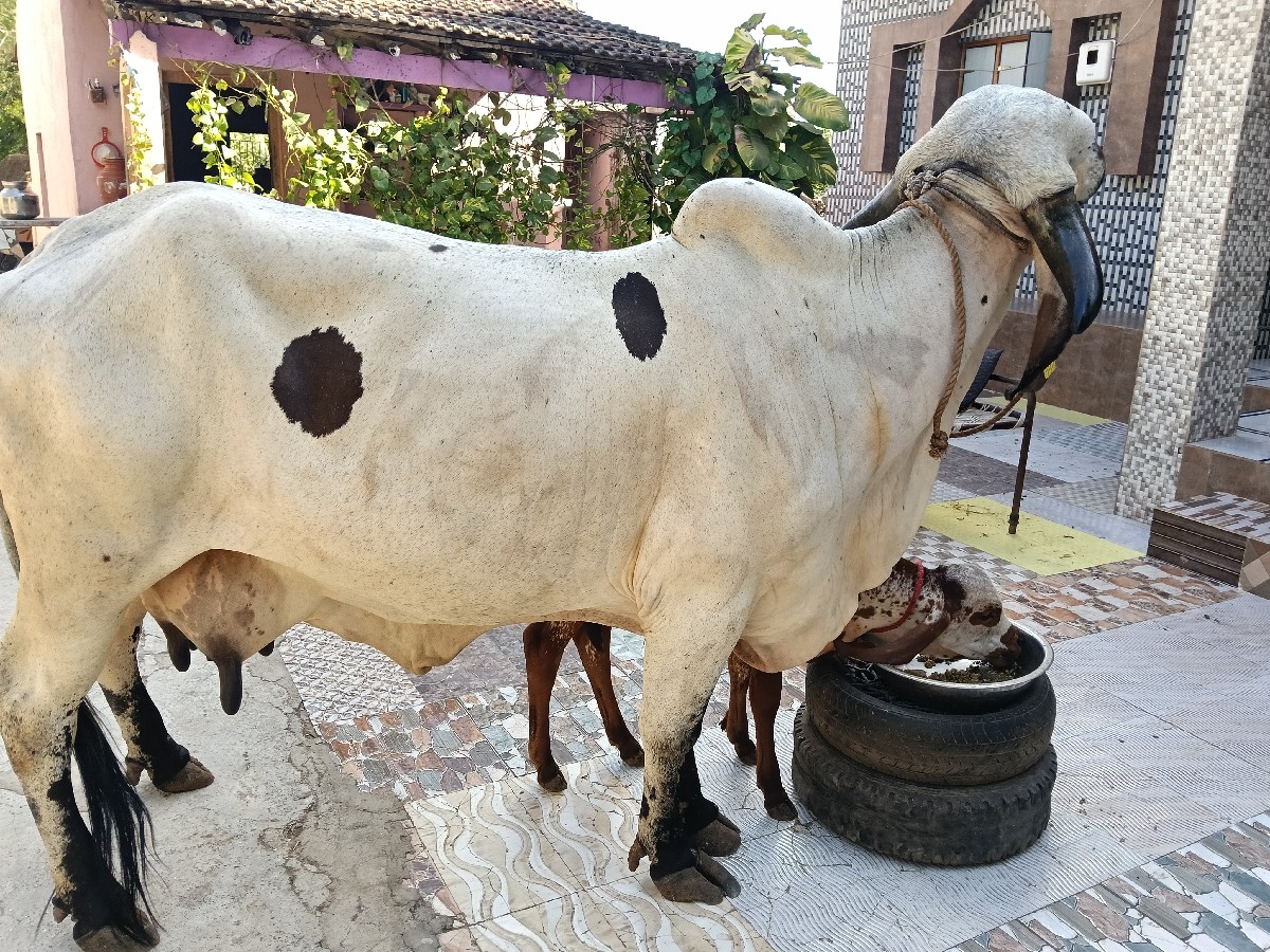 Post Image 6