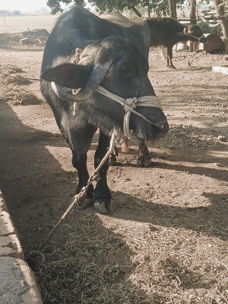 Post Image 3