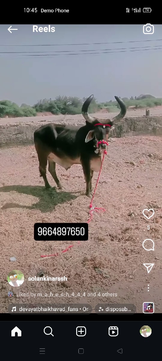 Post Image 1