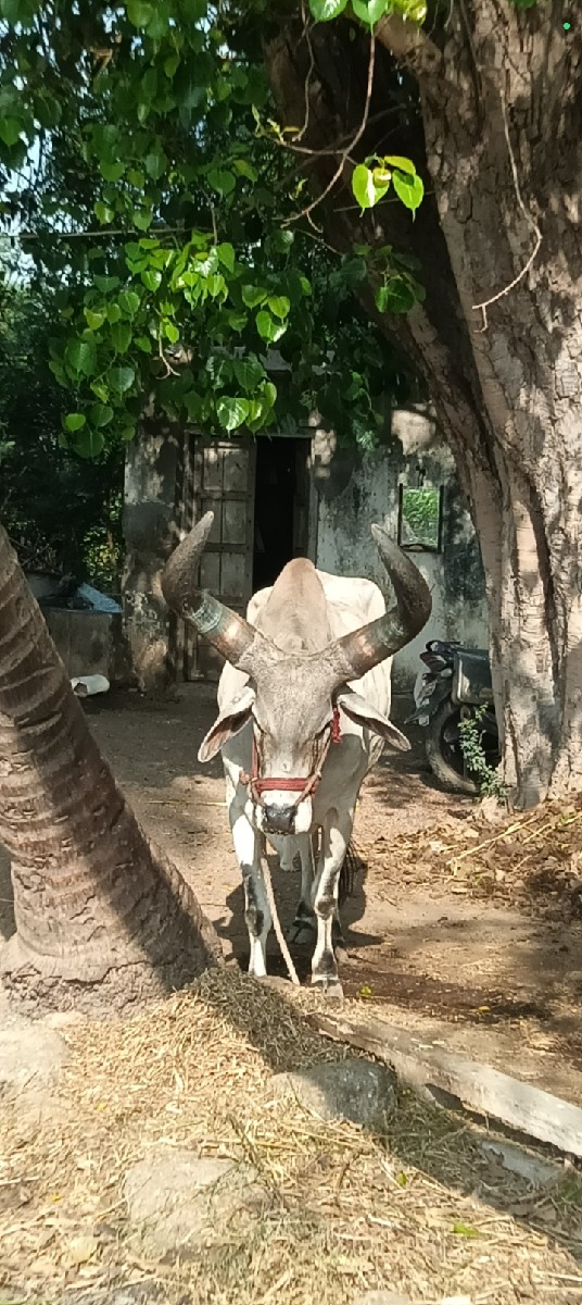 Post Image 2