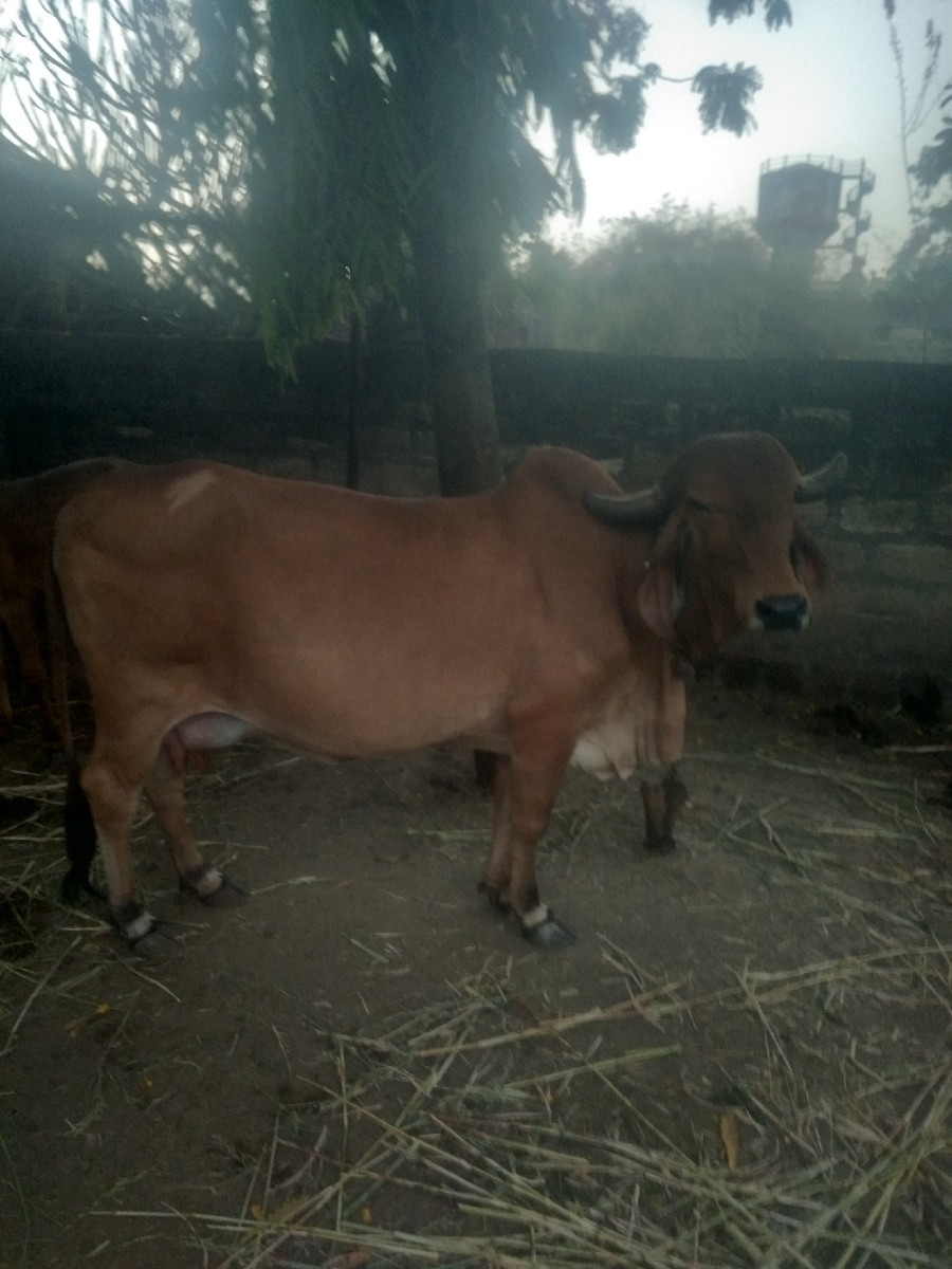 Post Image 2