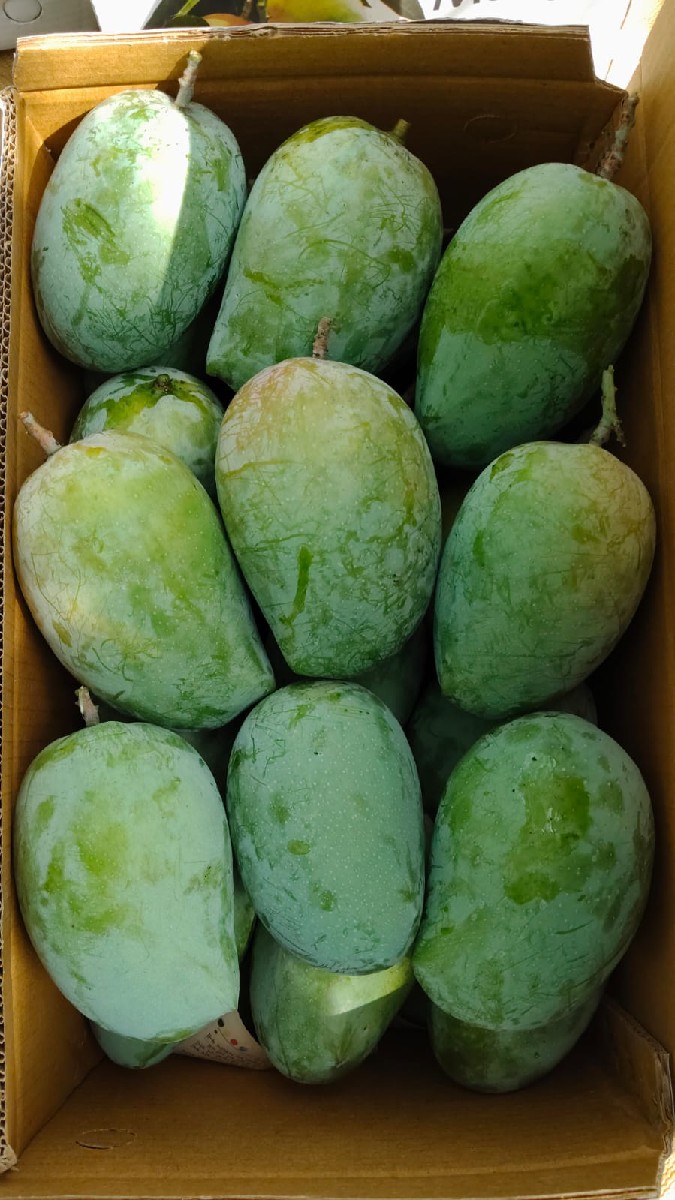 Post Image 3