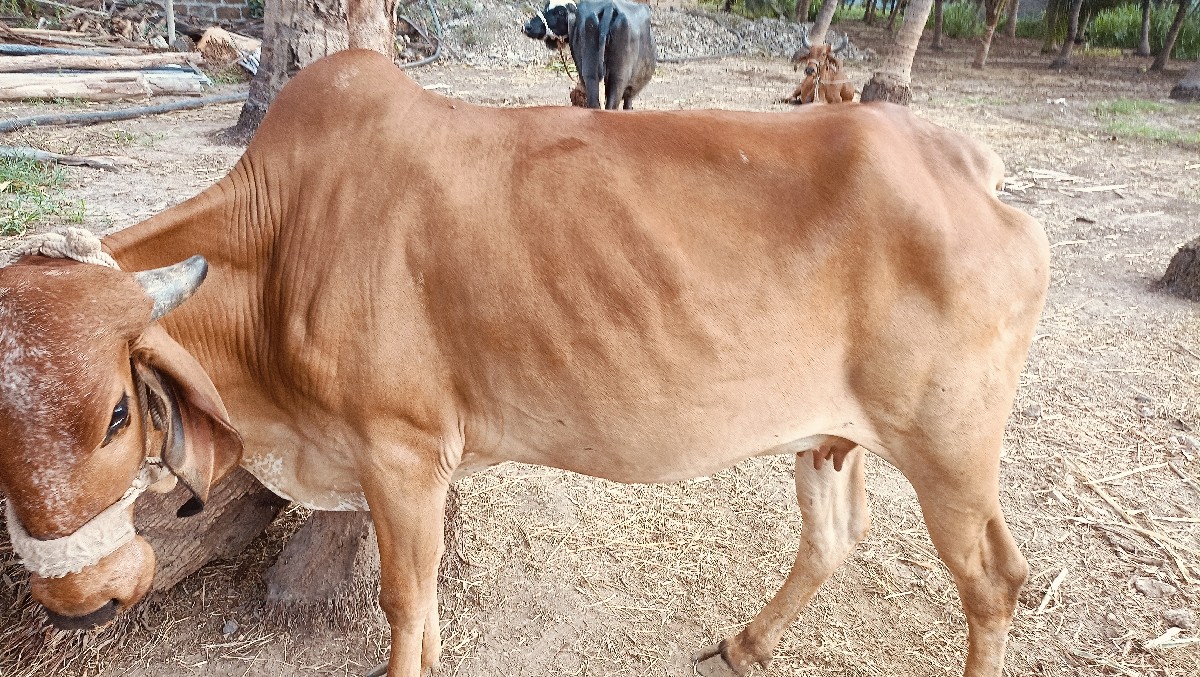 Post Image 3
