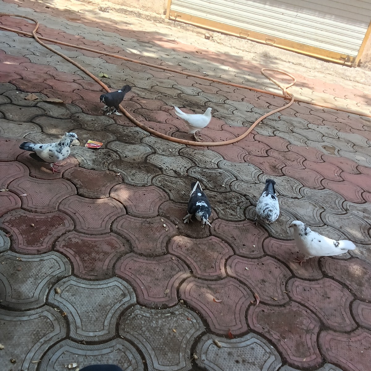 Post Image 3