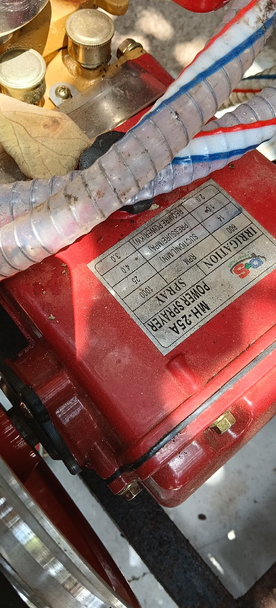 Post Image 3