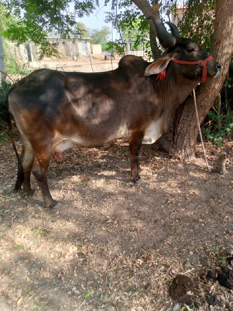 Post Image 2