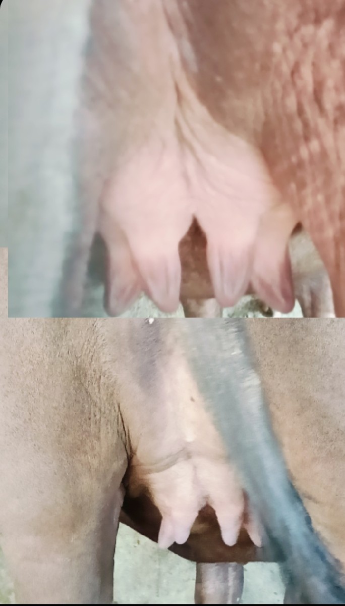 Post Image 2