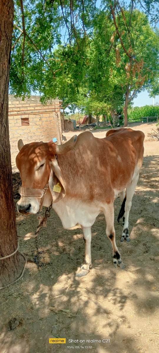Post Image 1