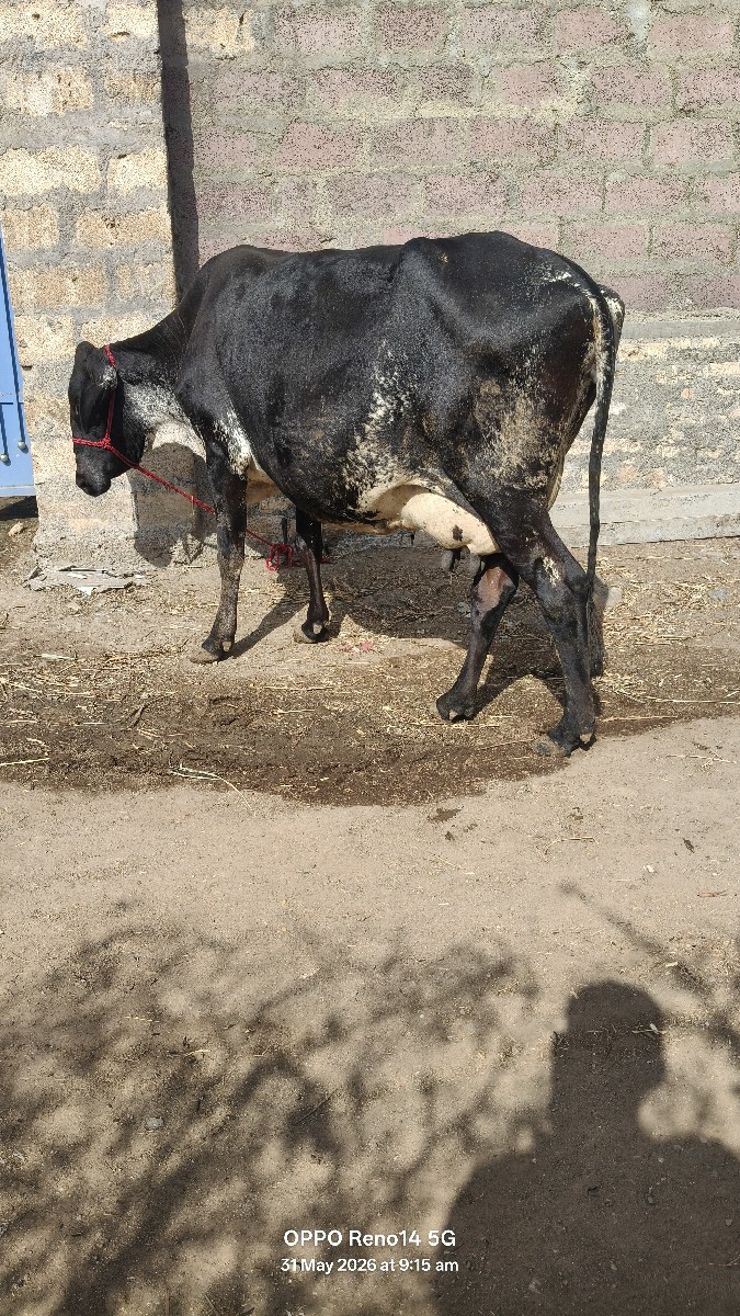 Post Image 6
