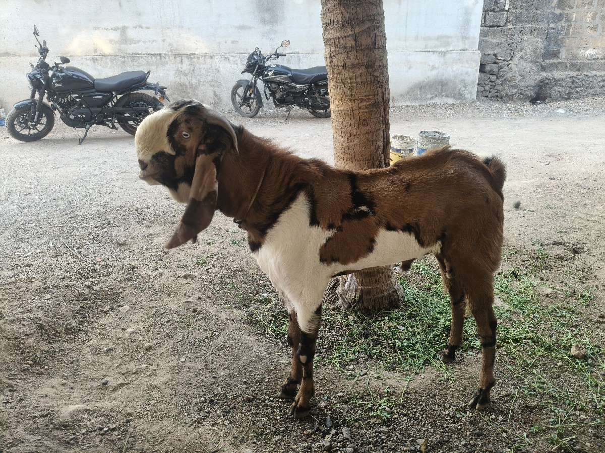 Post Image 3