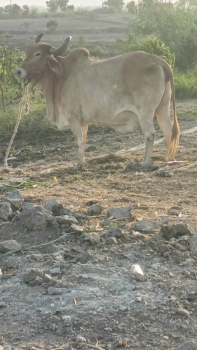 Post Image 6