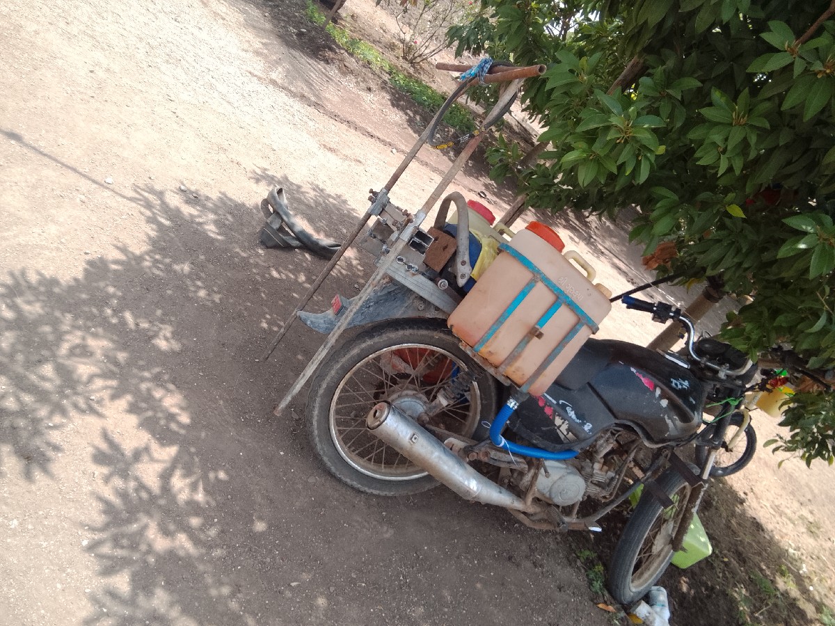 Post Image 2