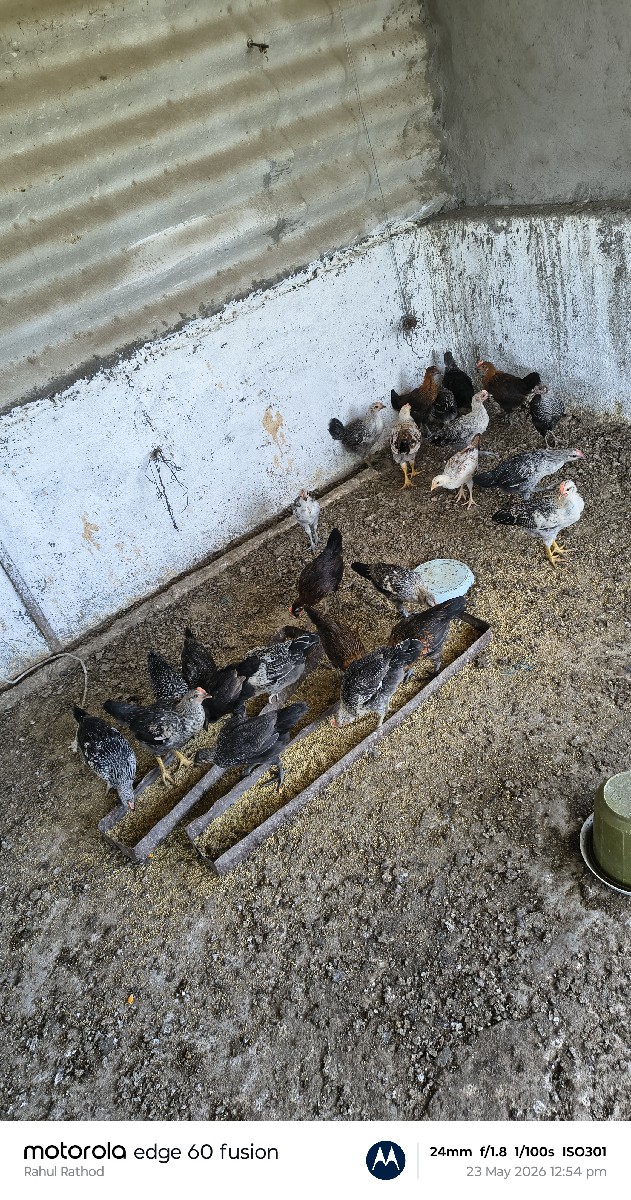 Post Image 2