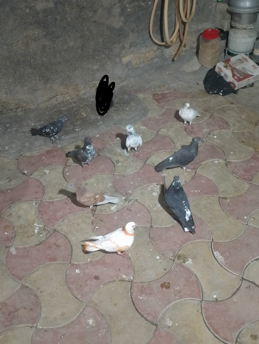 Post Image 2