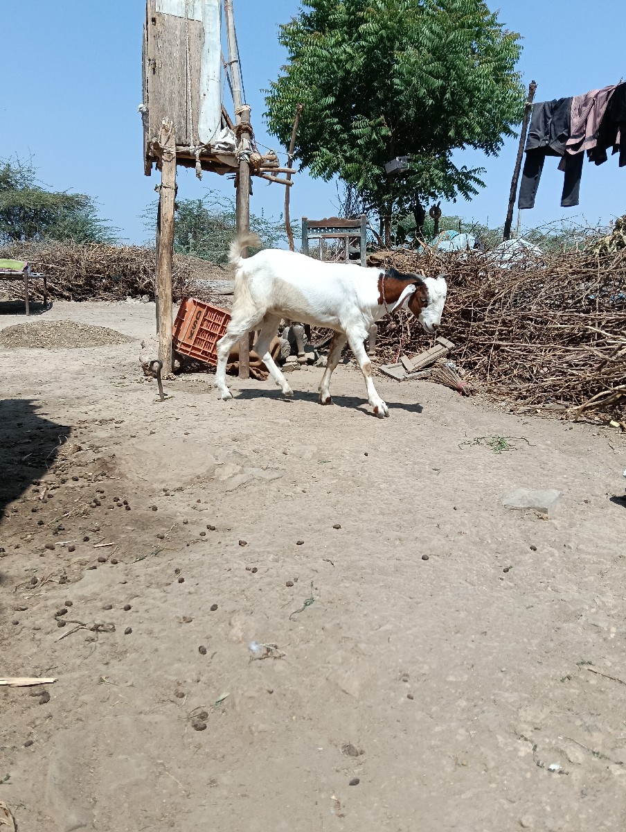 Post Image 2