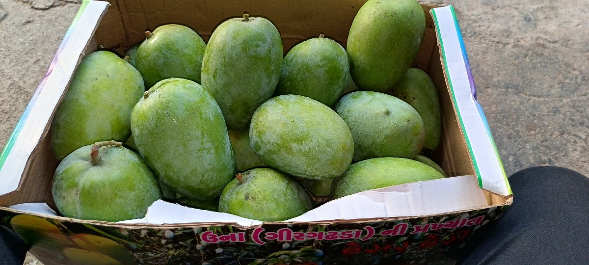 Post Image 2