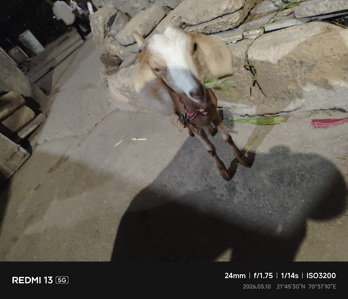 Post Image 2