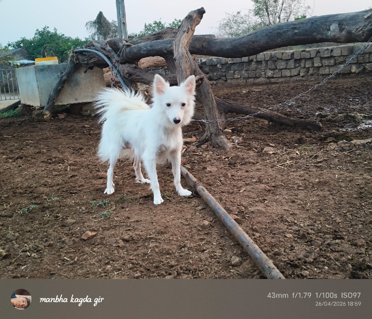 Post Image 3