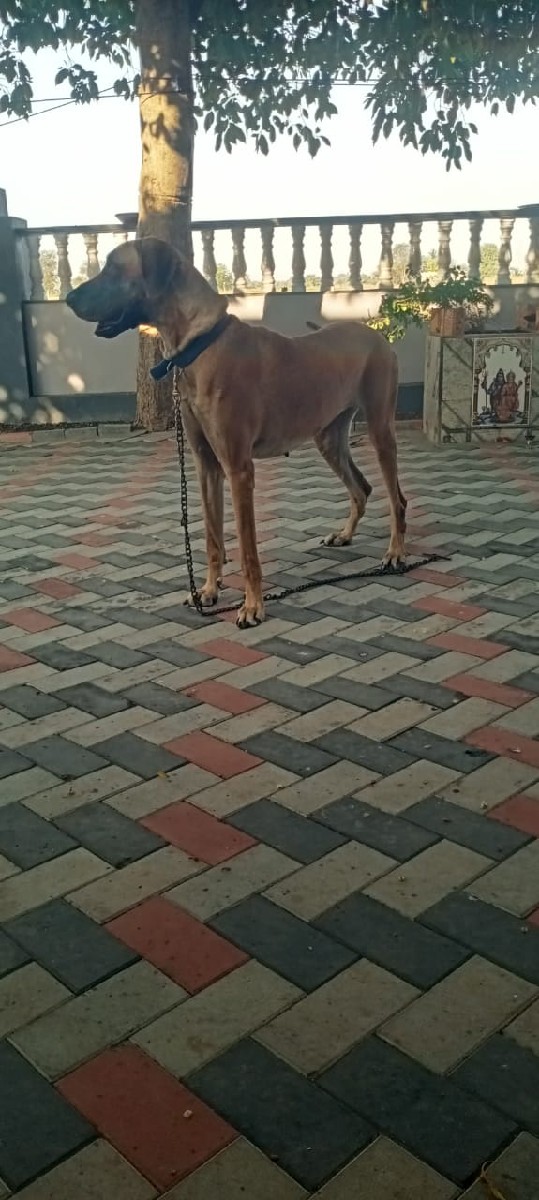 Post Image 1