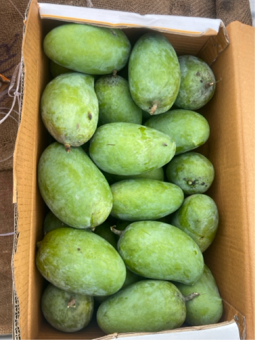 Post Image 2