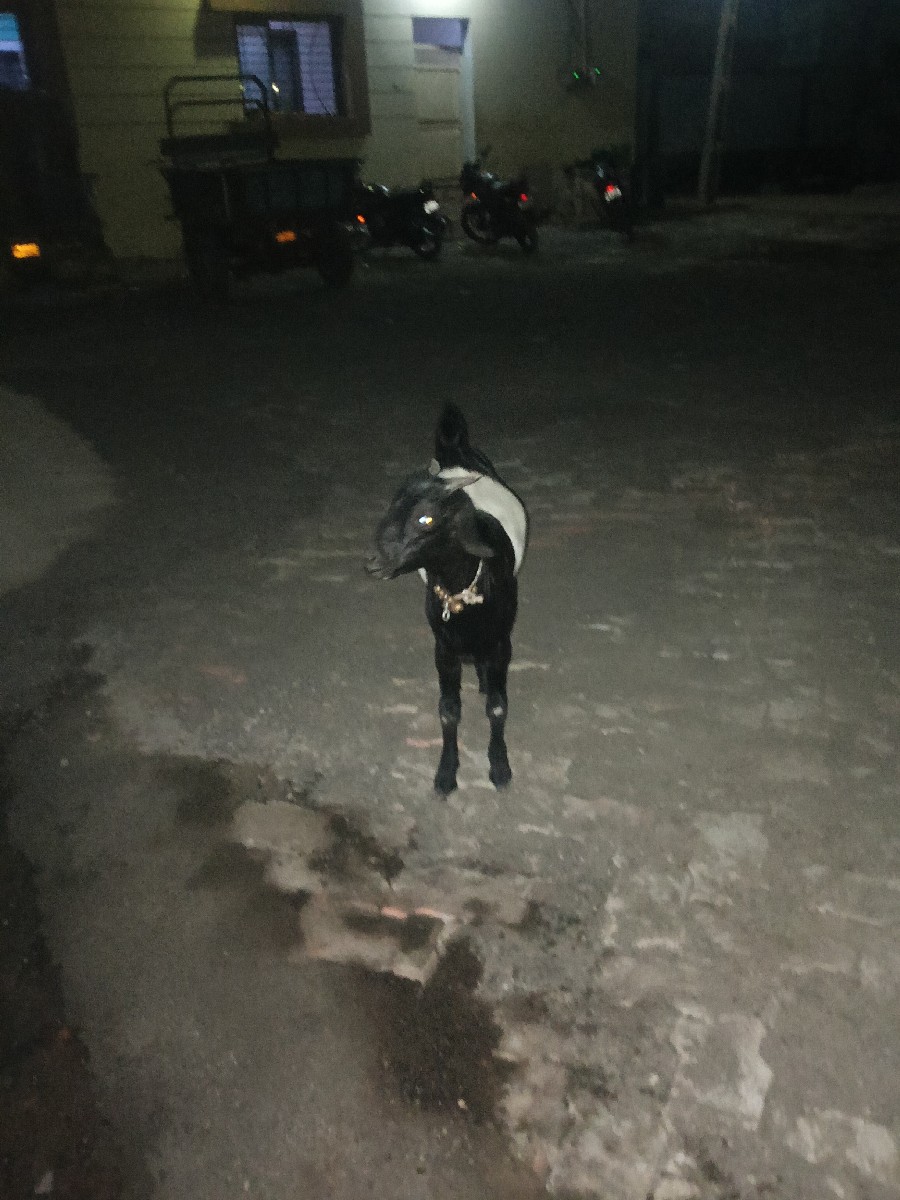 Post Image 2