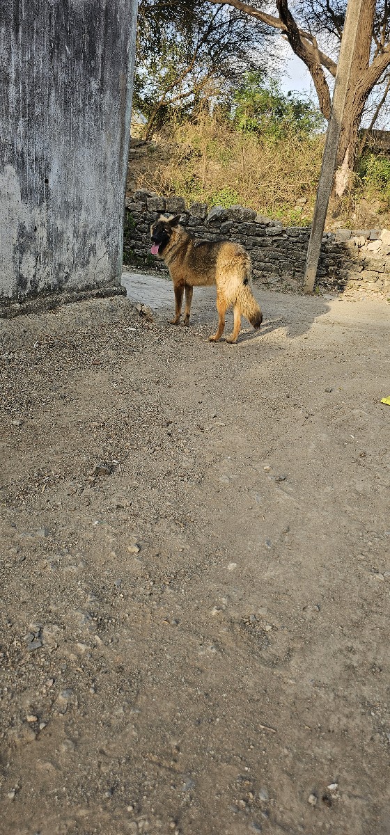 Post Image 2